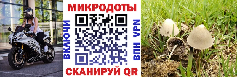 даркнет как зайти Феодосия Галлюциногенные грибы GOLDEN TEACHER